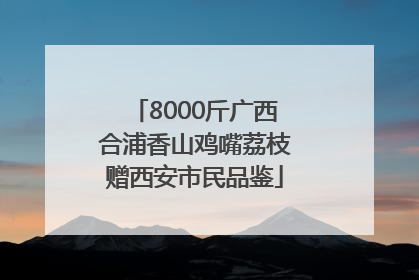 8000斤广西合浦香山鸡嘴荔枝赠西安市民品鉴