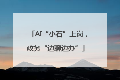 AI“小石”上岗，政务“边聊边办”