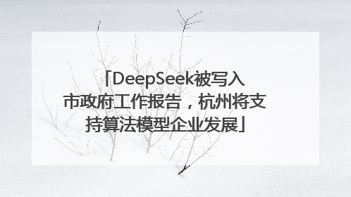 DeepSeek被写入市政府工作报告，杭州将支持算法模型企业发展