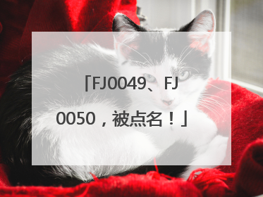 FJ0049、FJ0050，被点名！