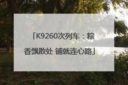 K9260次列车：粽香飘散处 铺就连心路