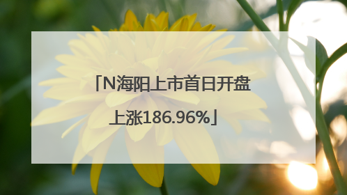 N海阳上市首日开盘上涨186.96%