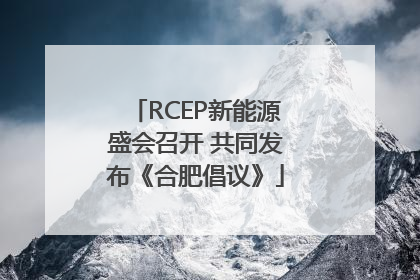 RCEP新能源盛会召开 共同发布《合肥倡议》